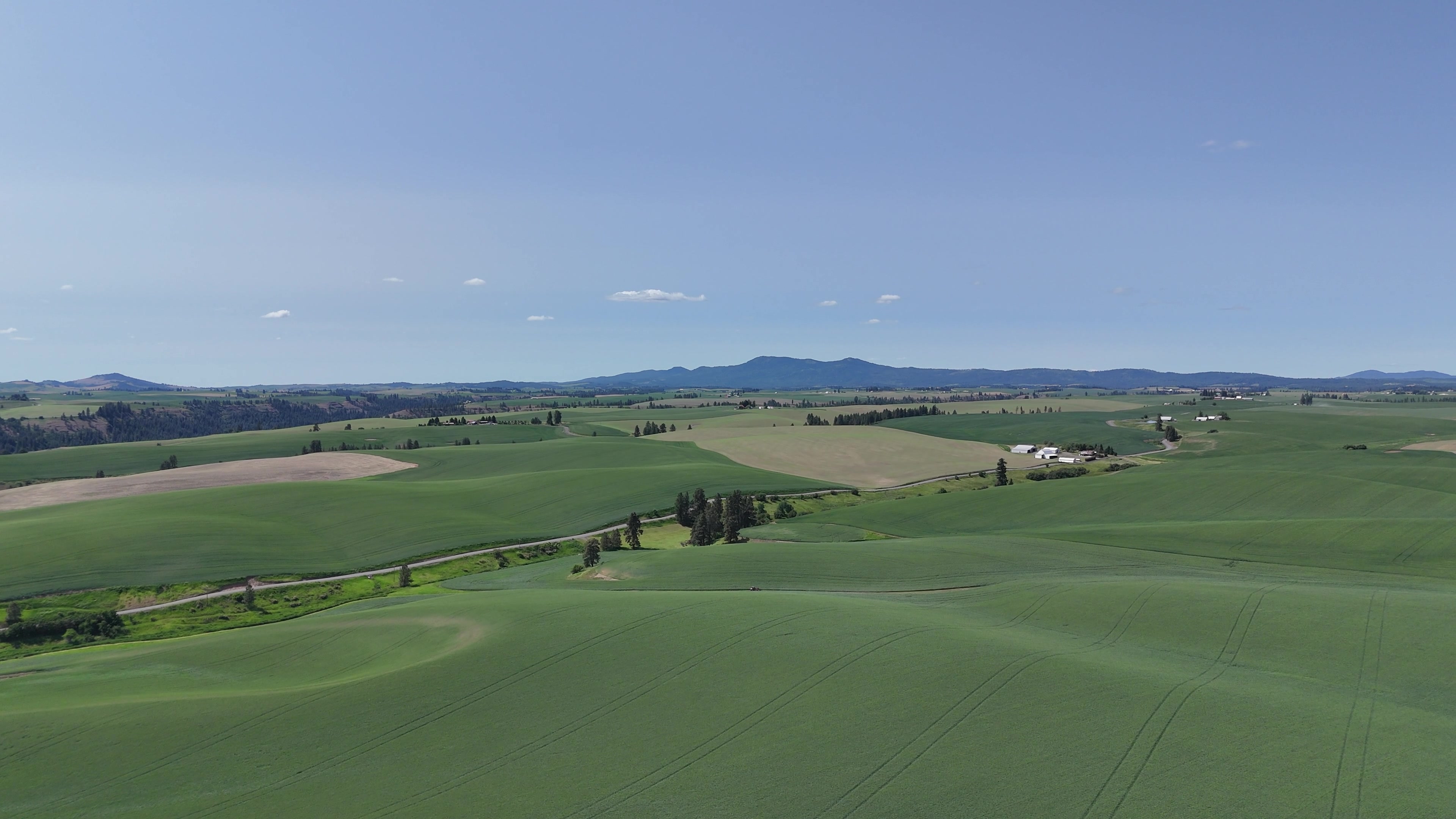 Serene Green Field with Rolling Hill and Scattered Trees - 4K Aerial Drone