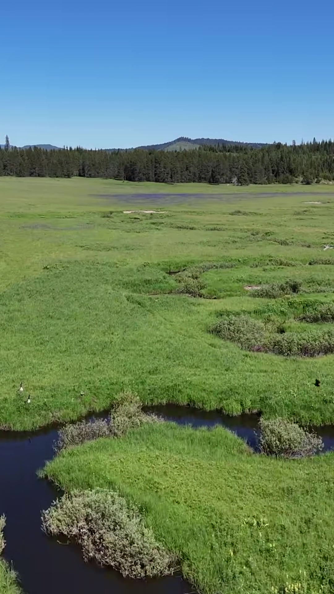 Meadow, streams, and a white building