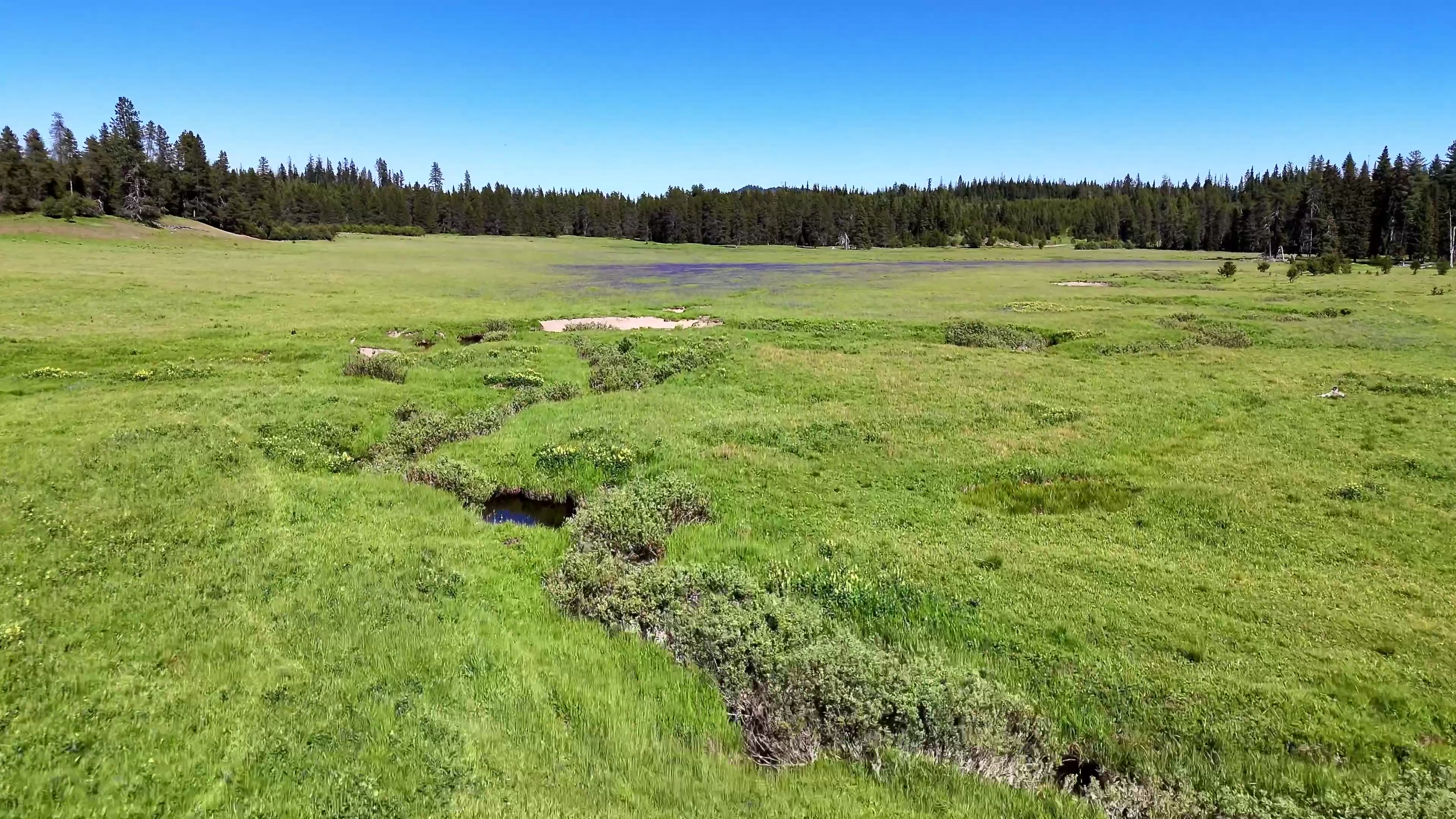 Aerial drone footage of a meandering creek through a mountain meadow