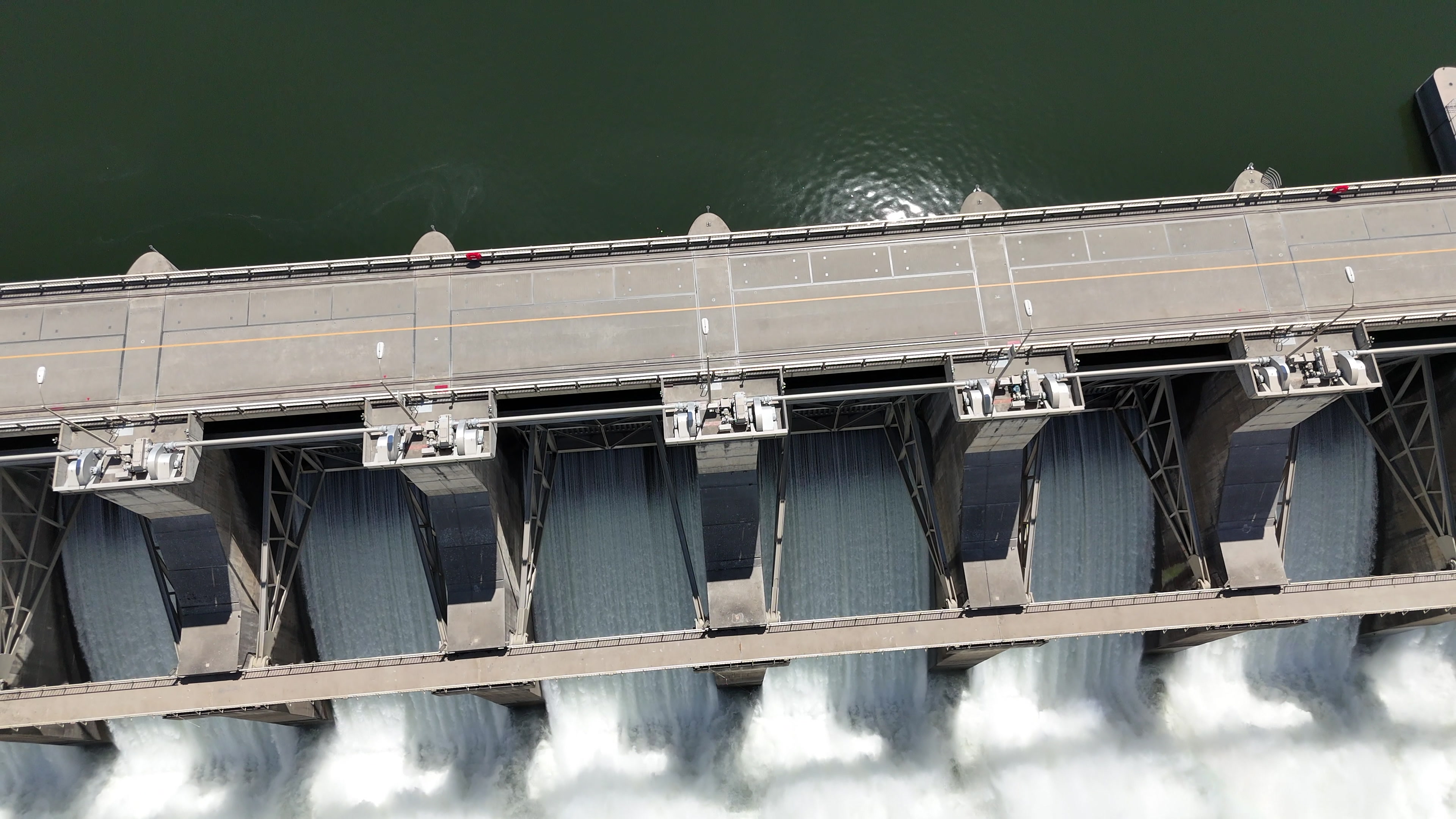 Lowergranite Dam Clip Short